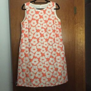 Sara Campbell Classic Daisy Shift Dress Sz L EUC
